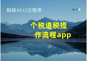 个税退税操作流程app