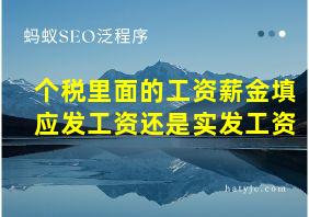 个税里面的工资薪金填应发工资还是实发工资