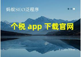 个税 app 下载官网