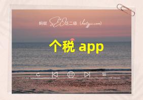 个税 app