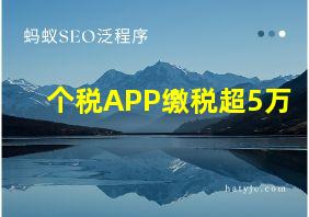 个税APP缴税超5万