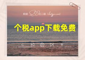 个税app下载免费