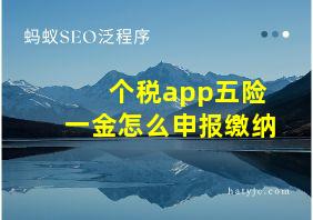 个税app五险一金怎么申报缴纳