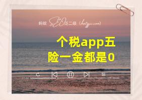 个税app五险一金都是0