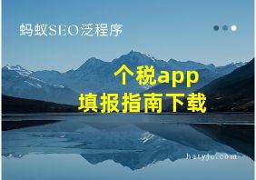 个税app填报指南下载