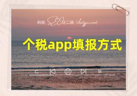 个税app填报方式