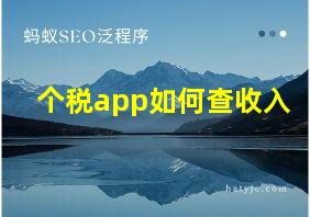 个税app如何查收入