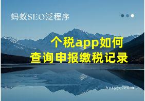 个税app如何查询申报缴税记录