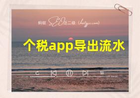 个税app导出流水