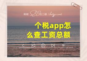 个税app怎么查工资总额