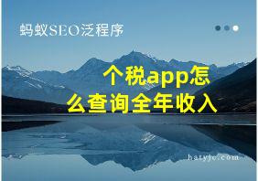 个税app怎么查询全年收入