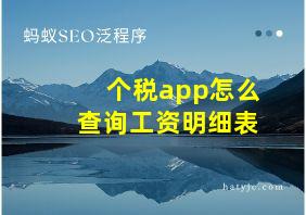 个税app怎么查询工资明细表