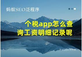 个税app怎么查询工资明细记录呢