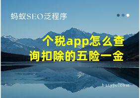 个税app怎么查询扣除的五险一金