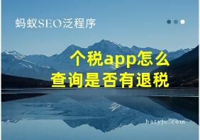 个税app怎么查询是否有退税