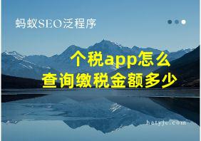 个税app怎么查询缴税金额多少