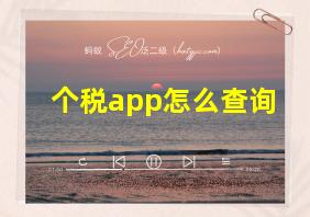 个税app怎么查询