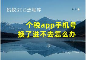 个税app手机号换了进不去怎么办