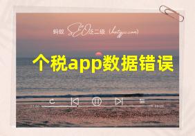 个税app数据错误