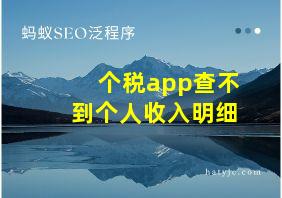 个税app查不到个人收入明细