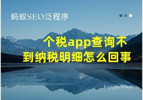 个税app查询不到纳税明细怎么回事