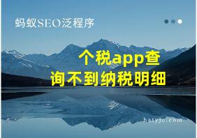 个税app查询不到纳税明细