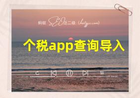 个税app查询导入