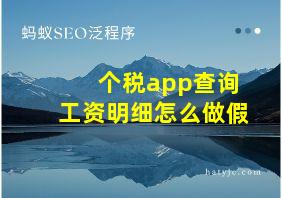 个税app查询工资明细怎么做假