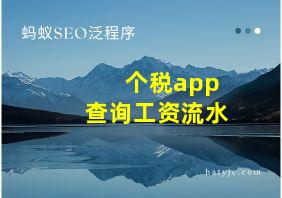 个税app查询工资流水