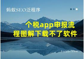 个税app申报流程图解下载不了软件