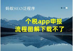 个税app申报流程图解下载不了