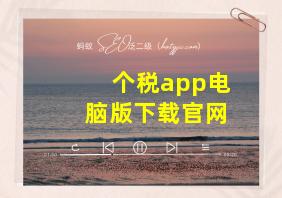 个税app电脑版下载官网