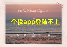 个税app登陆不上