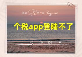 个税app登陆不了