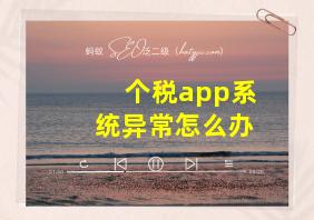 个税app系统异常怎么办