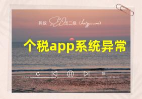 个税app系统异常