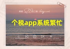 个税app系统繁忙