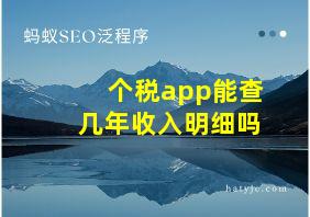 个税app能查几年收入明细吗