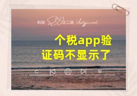 个税app验证码不显示了