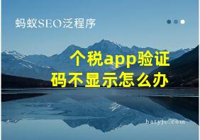 个税app验证码不显示怎么办