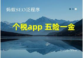 个税app 五险一金