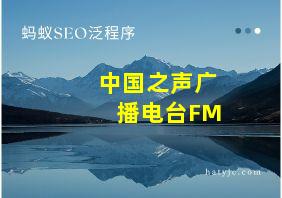 中国之声广播电台FM