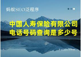 中国人寿保险有限公司电话号码查询是多少号