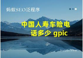 中国人寿车险电话多少 gpic