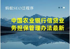 中国农业银行信贷业务担保管理办法最新