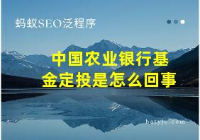 中国农业银行基金定投是怎么回事