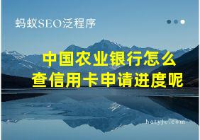 中国农业银行怎么查信用卡申请进度呢