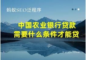 中国农业银行贷款需要什么条件才能贷