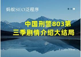 中国刑警803第三季剧情介绍大结局