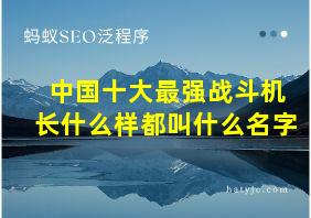 中国十大最强战斗机长什么样都叫什么名字